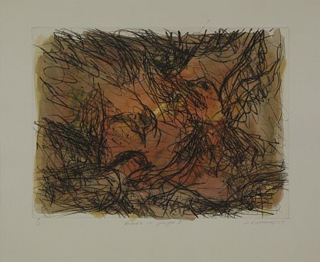 Click the image for a view of: David Koloane. Birds in Flight III. 2009. Hand coloured drypoint. 429X519mm